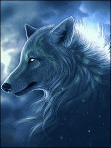 Wolf Pack Of Wolves GIF Wolf Pack Of Wolves Majestic Discover And