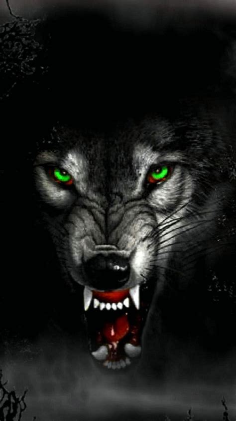 Angry Wolf Wallpapers For Android Wolf Wallpaperspro Fond Décran