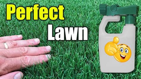 How To Make Lawn Green And Thick Unugtp