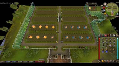 Continue farming oak trees, but to boost your xp, start doing fruit trees. The Noobs Tithe Farm Guide-OSRS - YouTube