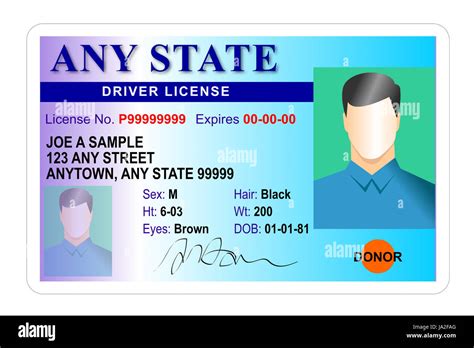 Illustration Of A Generic State Driver License Of A Male Driver