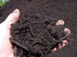 Sandy soil is difficult to deal with sandy soil but we can't forget that we can also get some benefits from it as it drains well and you can easily dig in sandy soil is a perfect growing medium for carrots as it provides depth to the roots. Different Soil Types & Growing Grass | TurfGator