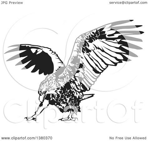 Eagle bald eagle bird flying owl nature eagle owl animal feather hawk. Clipart of a Black and White Flying Eagle Ready to Grab ...
