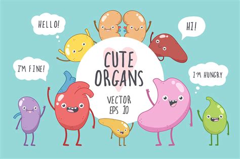 Cute Organs Custom Designed Illustrations ~ Creative Market
