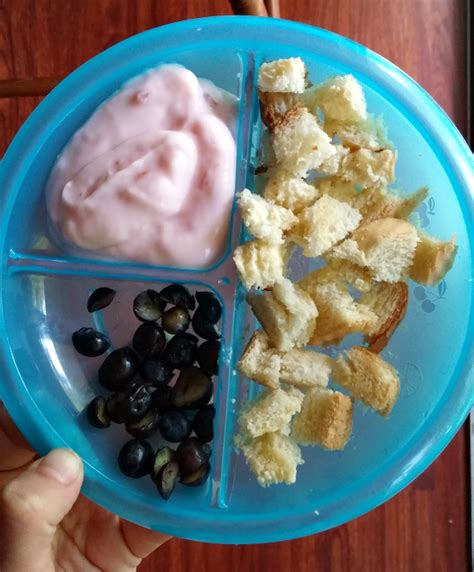 Any easy to prepare healthy finger foods can serve as appetizers. Simple Meal Ideas for One Year Olds | Food, Baby food ...