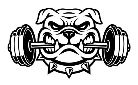Black And White Illustration Of A Bulldog With Dumbbell 539384 Vector