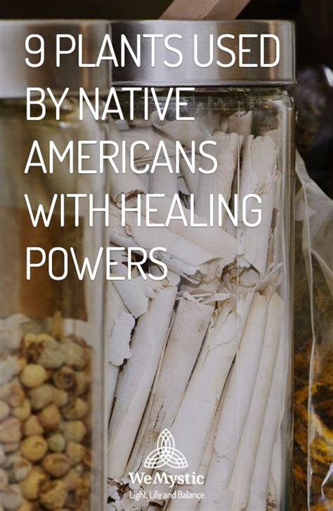 holistic remedies skin remedies herbal remedies natural remedies healing tea healing powers