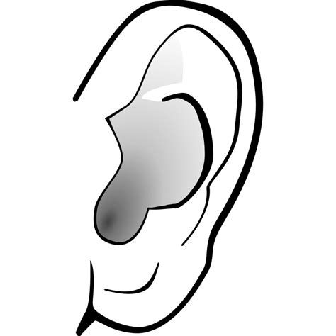 Ear Clipart Black And White Free Download On Clipartmag