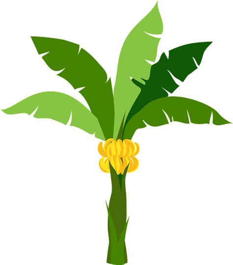 Banana Tree Leaves Clip Art