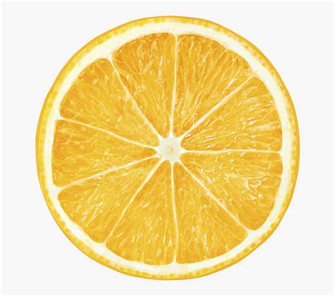 Lemon, lemon and tea, sliced of lemon illustration png clipart. Transparent Lemon Slice Png - Цитрус Картинки, Png ...