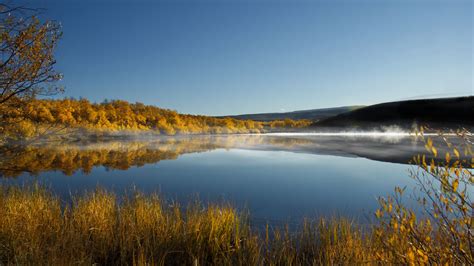 Download Wallpaper 2560x1440 Lake Trees Reflection Autumn Landscape