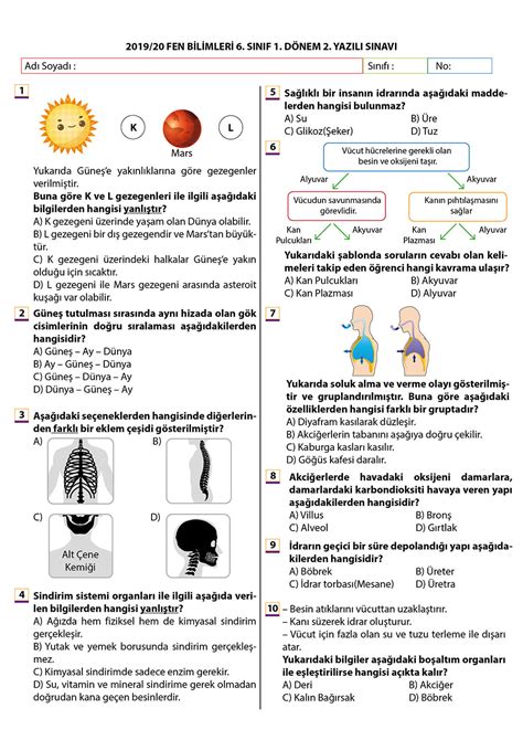 6 Sınıf Fen Bilimleri 1 Dönem 1 Yazılı