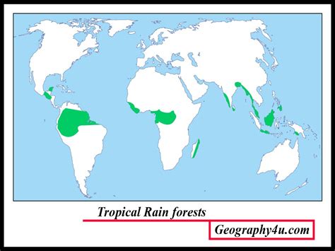 Map Showing Location Of Tropical Rainforests Rainforests Of The World Sexiz Pix