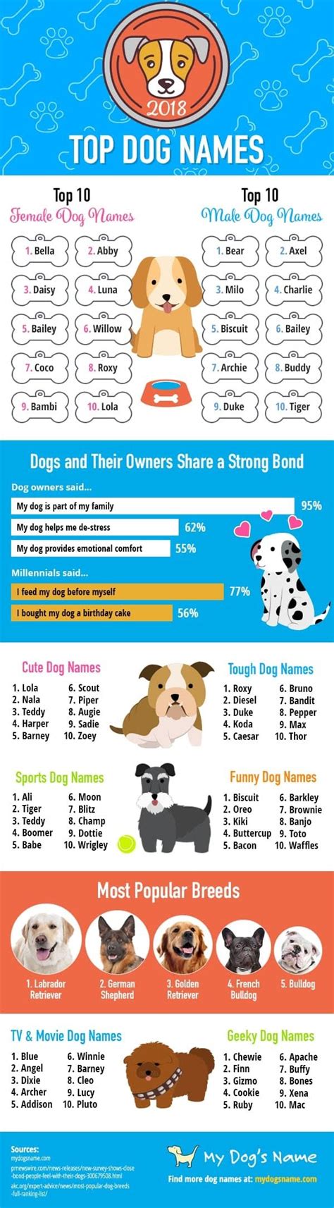 Top Dog Names Of 2019 Infographic Visualistan