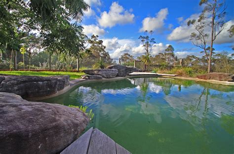 Natural Oasis Landforms Landscaping And Natural Pools Sydney
