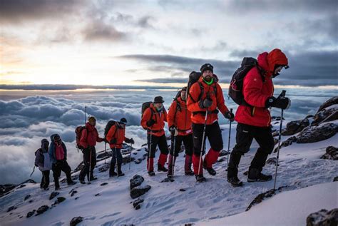 Climbing Kilimanjaro And Safari With Mountain Professionals