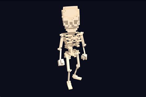 3d Voxel Model Skeleton Character 3d 휴머노이드 Unity Asset Store