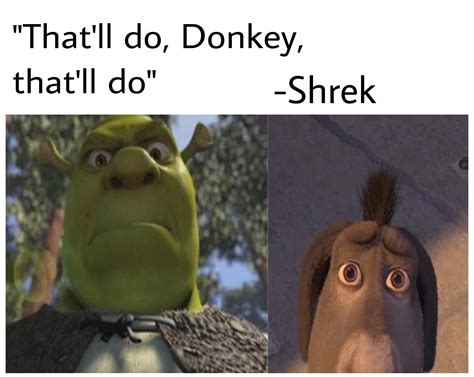 Thatll Do Donkey Thatll Do Rshrek