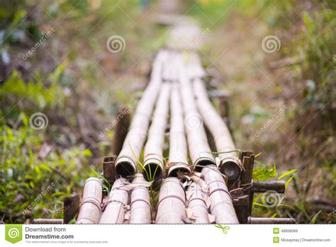Handmade Bamboo Bridge In Garden Stock Image Image Of Rough Nature