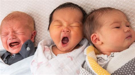 Australia Birth Rate 2019 Victorian Birth Rate Lowest In Country