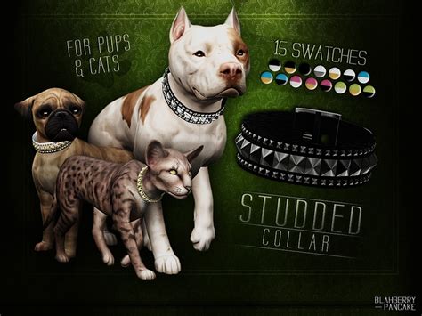 See, that's what the app is perfect for. Blahberry Pancake's Studded Collar for Cats and Dogs