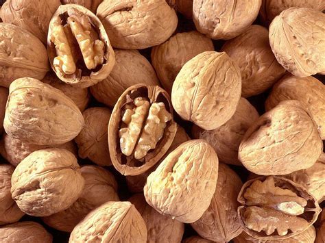 Walnuts 10 Health Benefits Of Walnuts