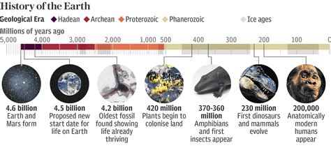 地球最古となる 億年前の化石が発見火星で地球外生命体の痕跡が見つかる可能性 ライブドアニュース