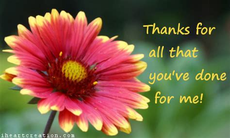 Thanks For Everything Free For Everyone Ecards Greeting Cards 123