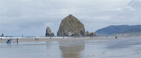 Check spelling or type a new query. Goonies Never Say Die - Things to Do in Astoria and Cannon ...