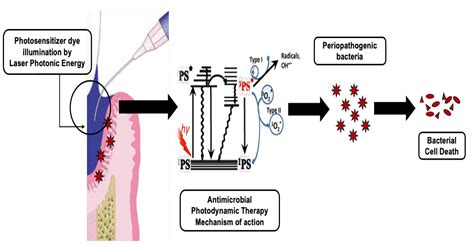 Pharmaceutics Free Full Text Effectiveness Of Antimicrobial