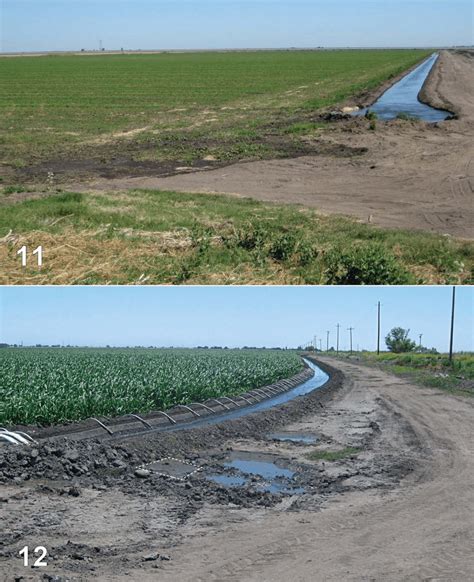 Agricultural Field And Irrigation Ditch Habitat Of Cy Lunalonga