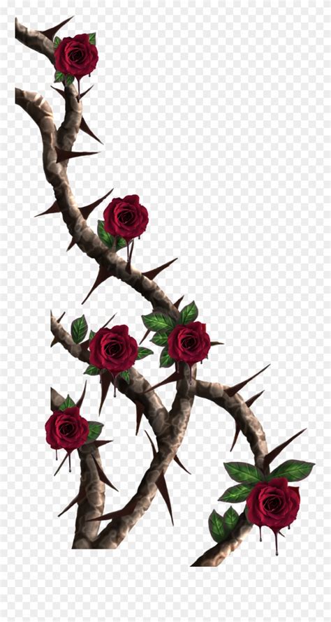 Rose Vine Clip Art Red Rose Vine Clip Art Gallery Rose Illustration