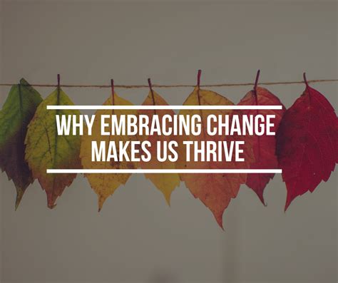 Why Embracing Change Makes Us Thrive Mindowl