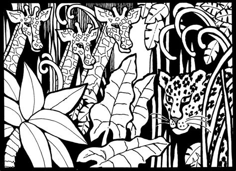 Three giraffes - Giraffes Adult Coloring Pages