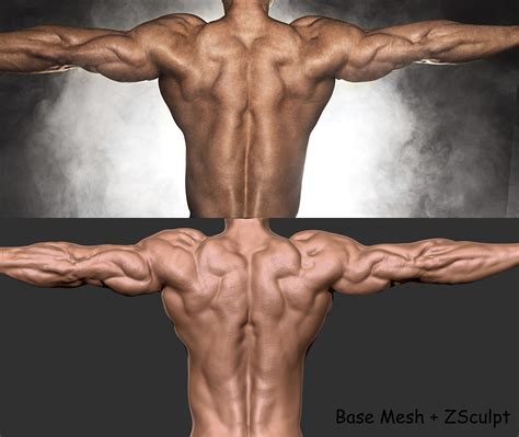 Shiv Swain Back Muscles Anatomy 01