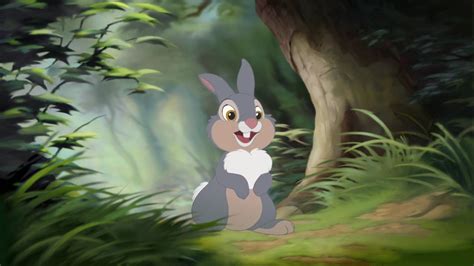 Pin By Nancy Doyen On Bambi Bambi Disney Bambi And Thumper Cartoon