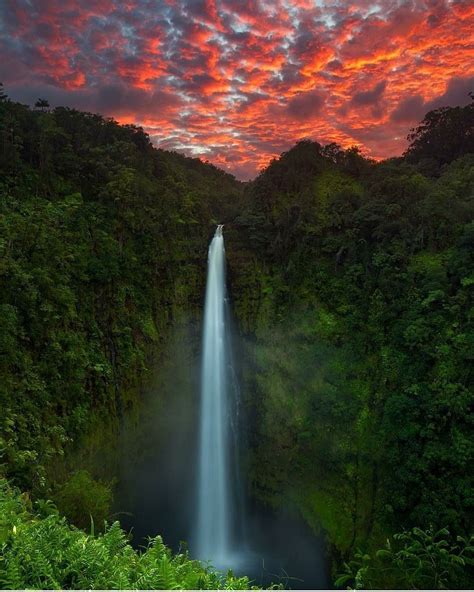 Awesome Photo Credit From Hawaiibyphoto Akaka Falls Big Island