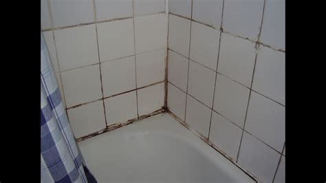 cure damp  mould   bathroom youtube