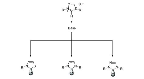 General Classes Of N Heterocyclic Carbenes Employed As Nucleophilic