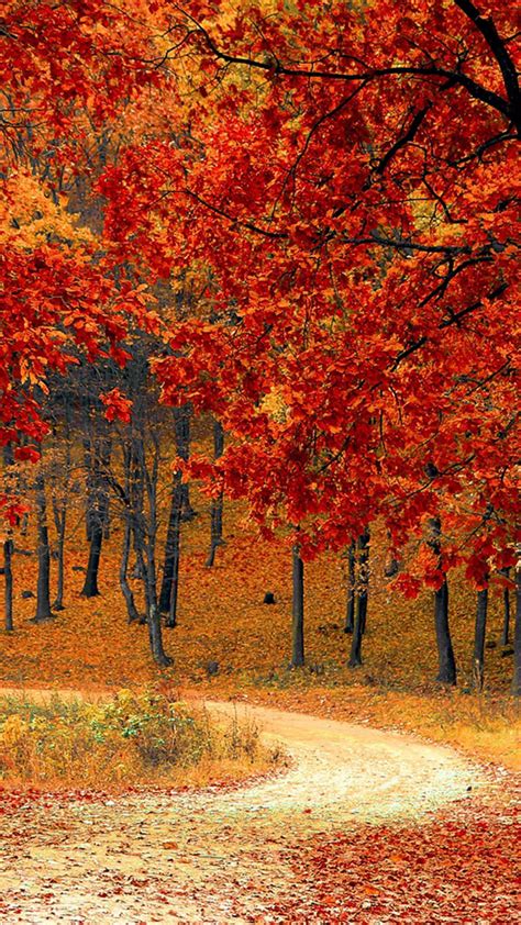 30 Beautiful Autumn Hd Wallpaper Basty Wallpaper