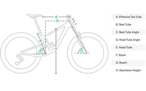 Comprehensive Guide About Bike Standover Height And Dimensions