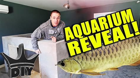 The king of random (tkor) is a youtube channel created by grant thompson that conducts diy projects and experiments (such as creating and launching model rockets, cutting open spray paint cans and deep frying ballpoint pens), often involving large amounts of a single item. FINALLY! The 2,000 gallon aquarium reveal! - YouTube