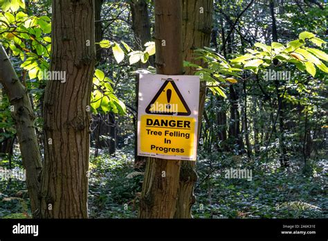 Tree Felling Warning Sign In Woods Stock Photo Alamy