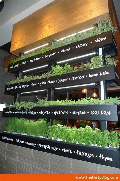 Indoor Herb Garden For The Freshest Produce At A Restaurant Great Idea