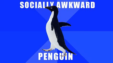 Socially Awkward Penguin Know Your Meme