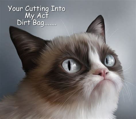 Grumpy Cat Memes By Gary 2017 Grumpy Cat Meme Grumpy Cat Quotes