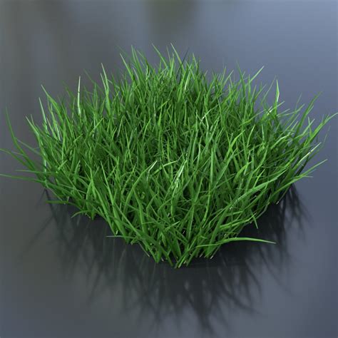 Realistic Grass Cgtrader