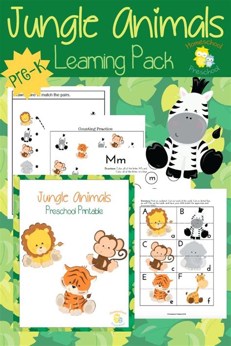Teach Preschool With Free Jungle Animal Printables Homeschool