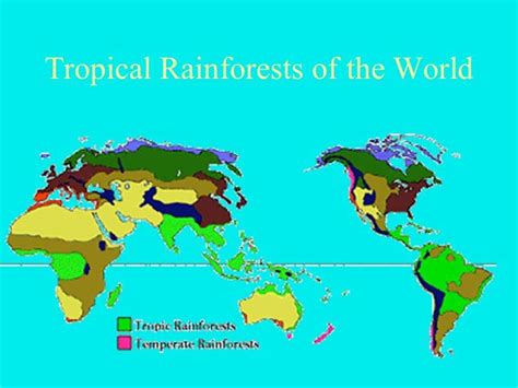Warum Befinden Sich Tropische Regenwälder In Äquatornähe Biologie 2024