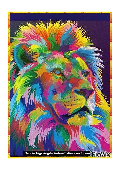 Lion Coloured Picmix